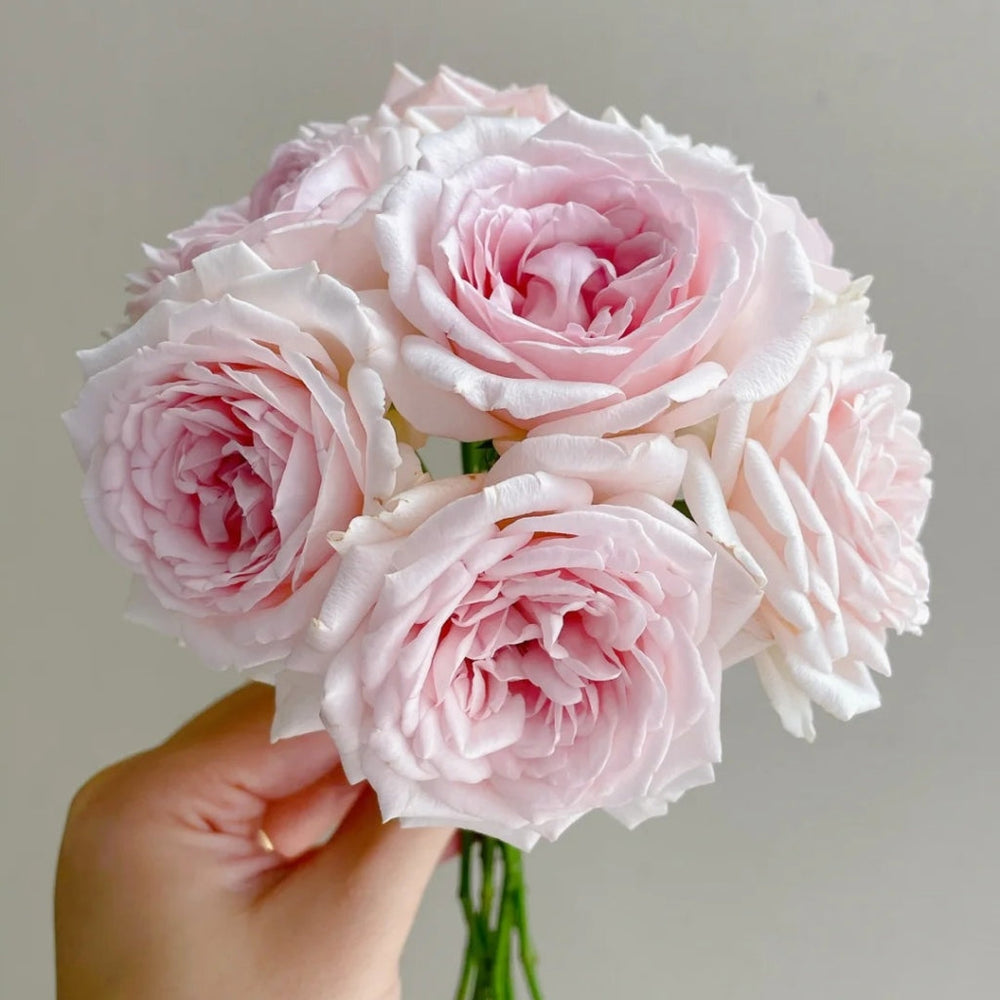 Yves Wedding Box Rose