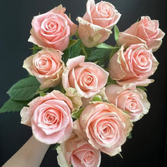 Almond Milk Candy Rose