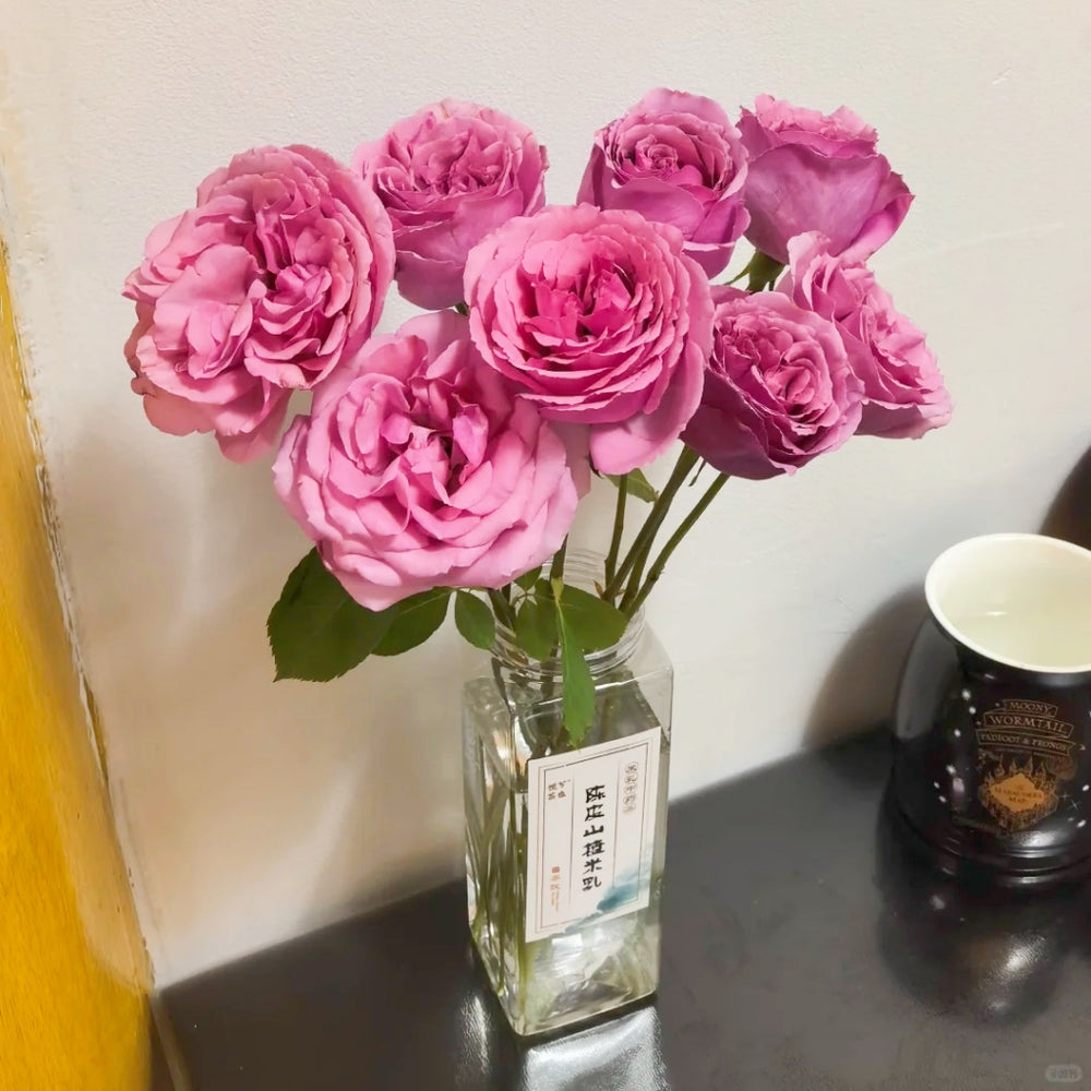 Aromatique Rose