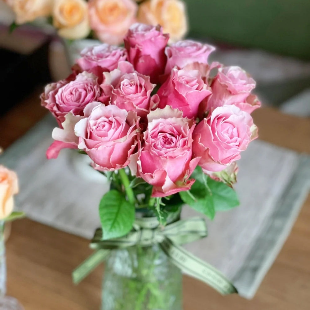 Belize Rose