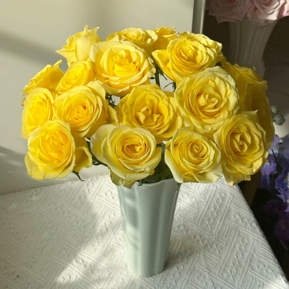 Bella Donna Rose