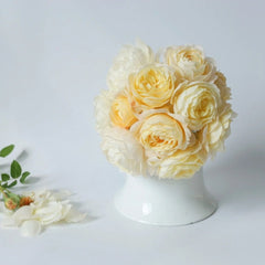 Claire Austin Rose