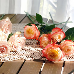 Cabaret Rose