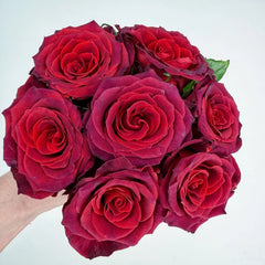 Chocolate Rose