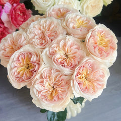Chunye Worries Rose