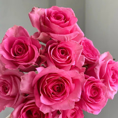 Claire Rose