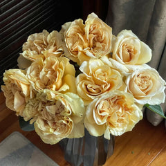 Coconut Latte Rose