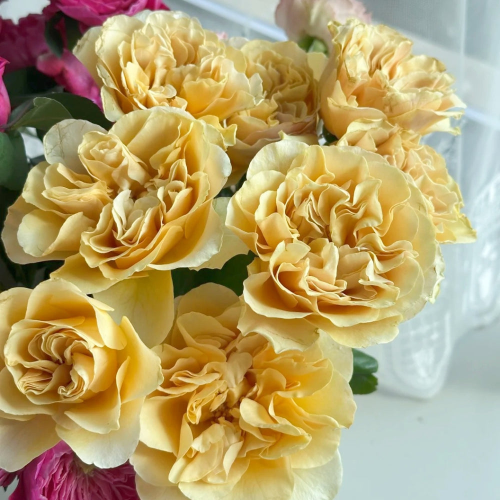 Coconut Latte Rose