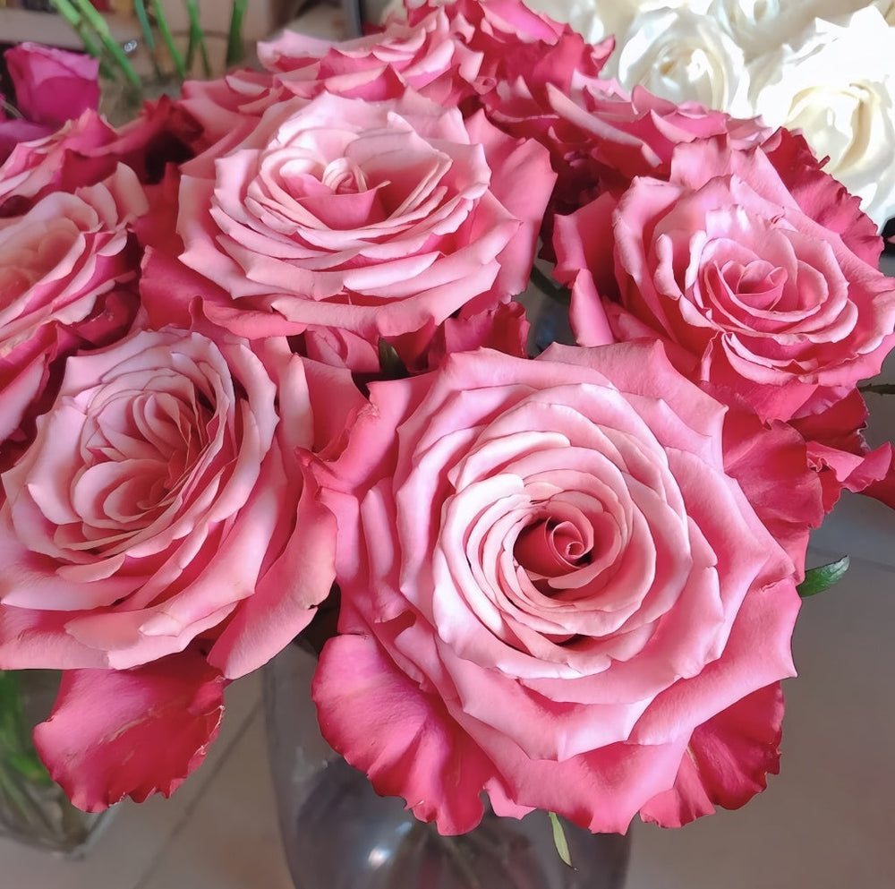Cold Brew Rose
