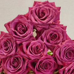 Cool Blue Rose