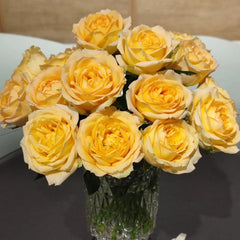 Cote d'or Rose
