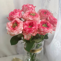 Country Spirit House Rose