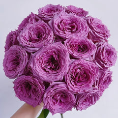 Country Spirit Song Rose
