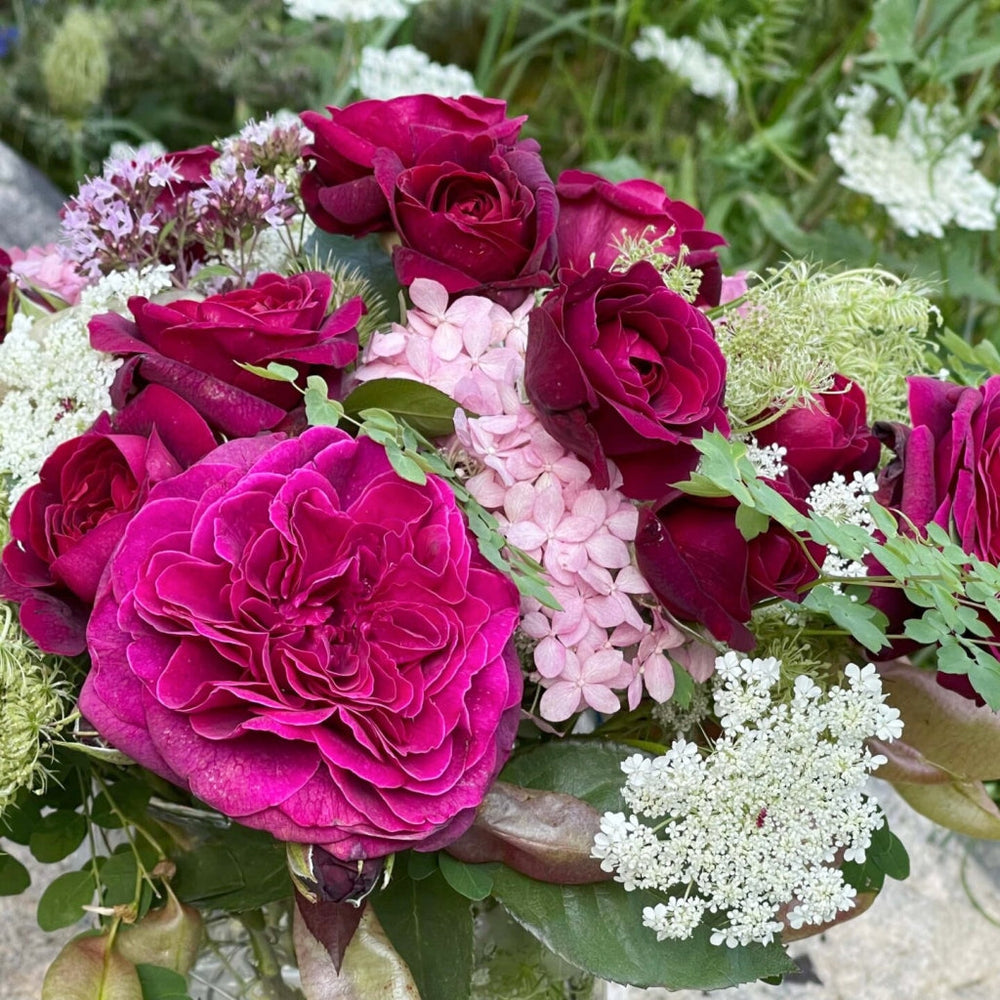 Deep Secret Rose