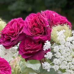 Deep Secret Rose