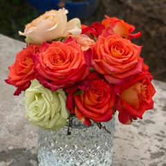 Ditty Rose
