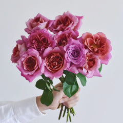 Drape Rose