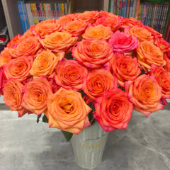 Fairy Tale Rose