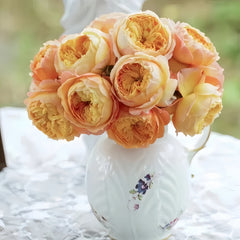 Fat Apricot Rose