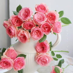 First Lady Rose