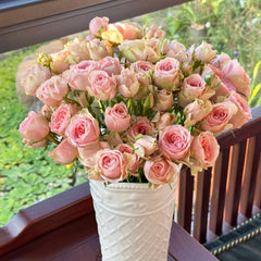Flower Fairy Rose