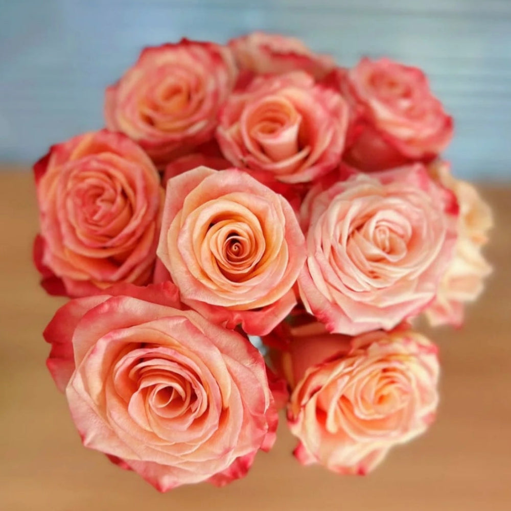 Fragrant Delicious Rose