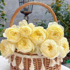 Fuguang Rose