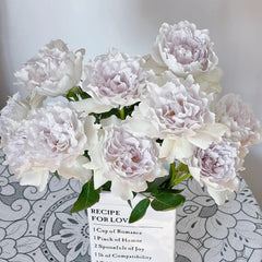 Gabriel Rose