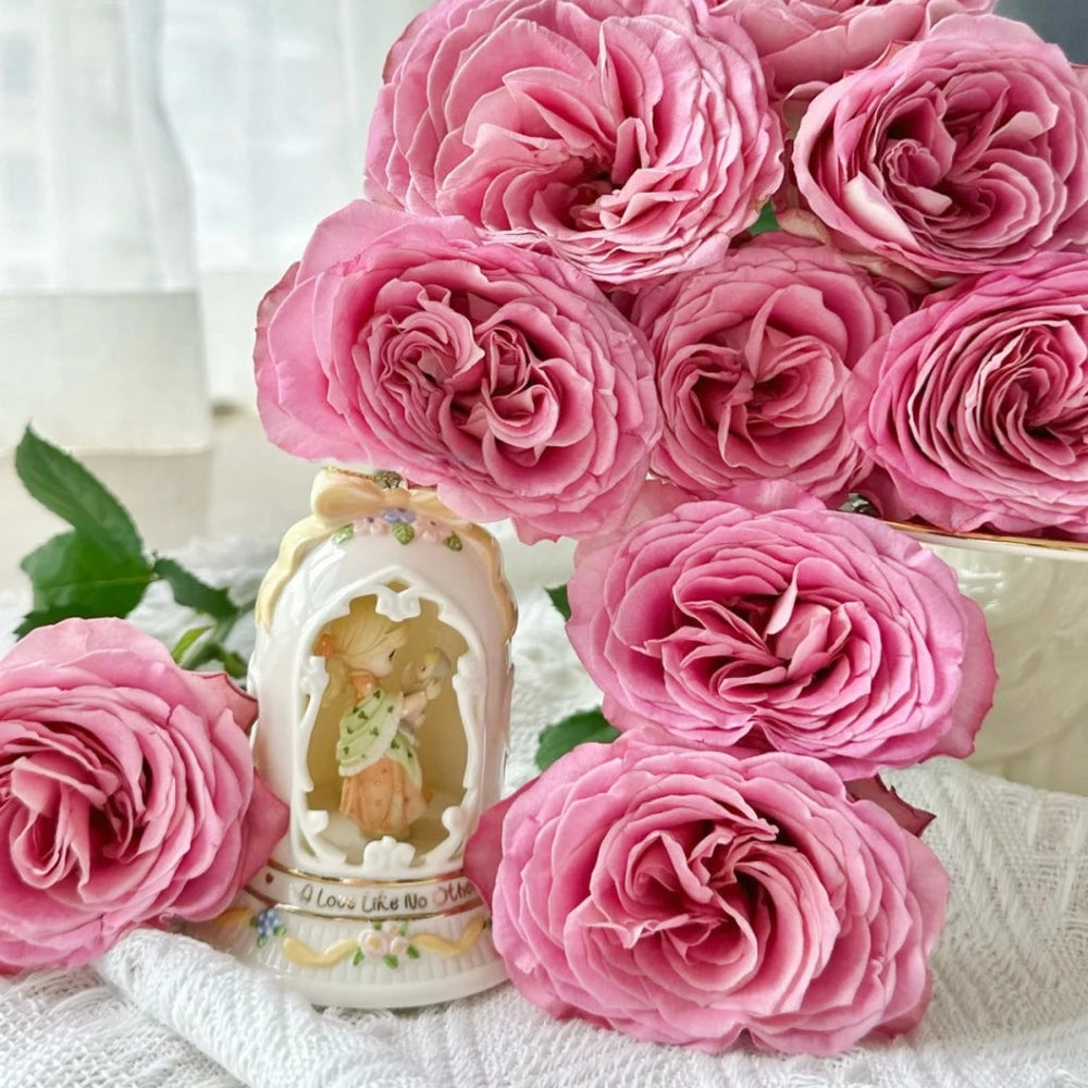 Ginette Rose