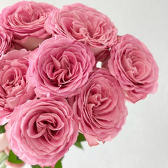 Ginette Rose