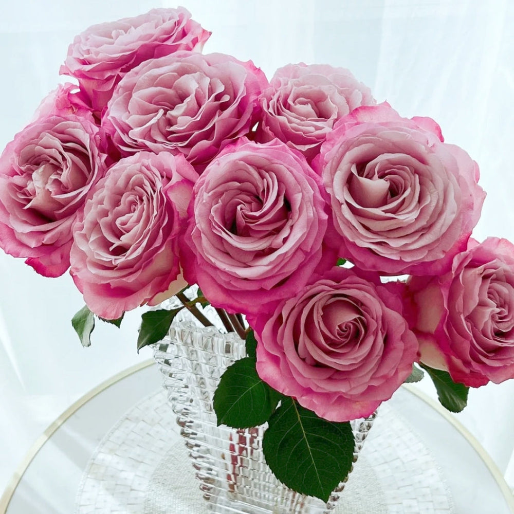 Ginette Rose