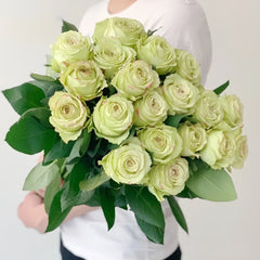 Hypnosis Rose