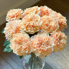 Issei Rose