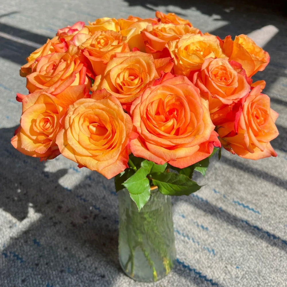 Jinhui Rose