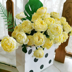 Julieta Limoncella Rose