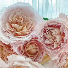 L'heure Magique Rose