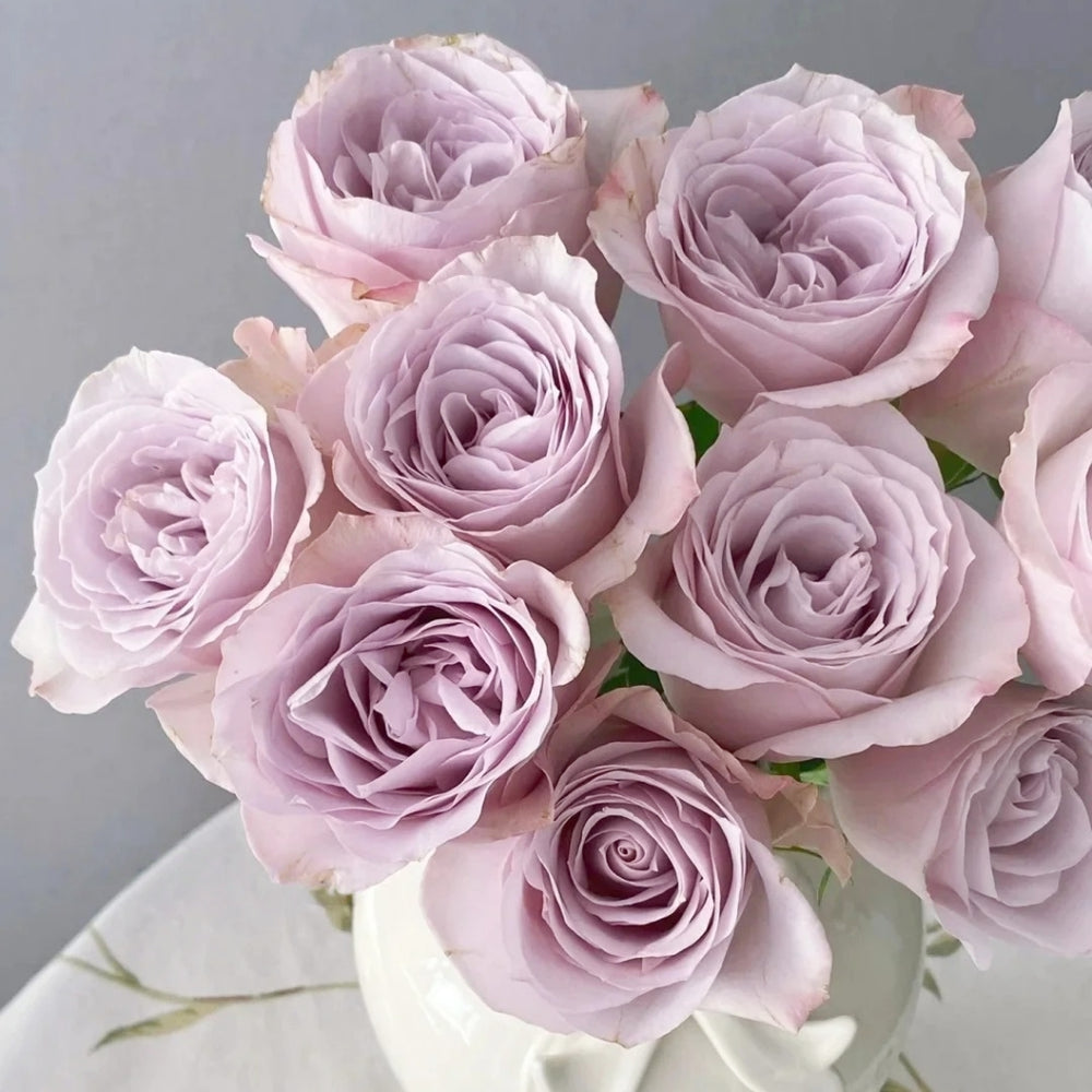 Laventine+ Rose
