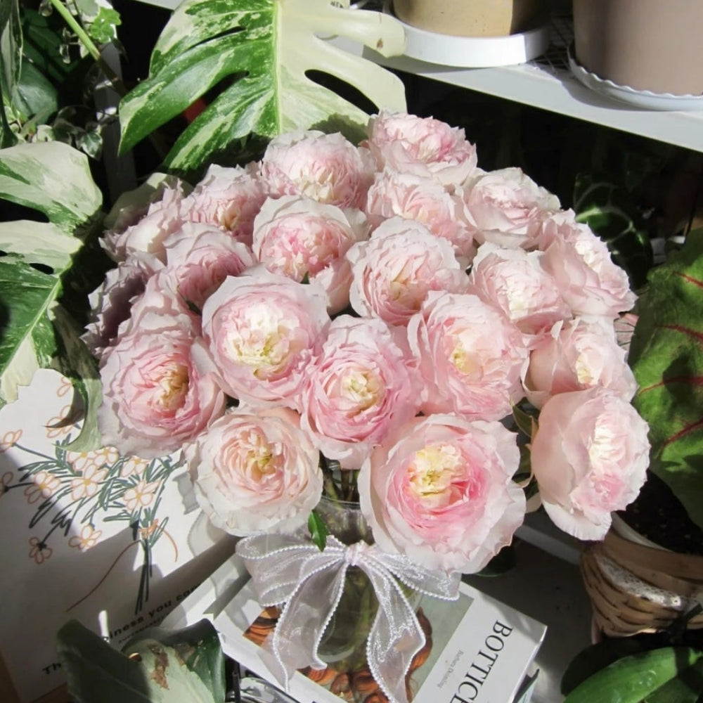 Le Rire Rose