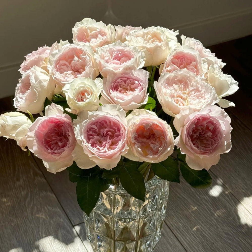 Le Rire Rose
