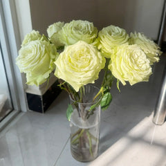Lemonade Rose