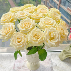 Little Butter Rose