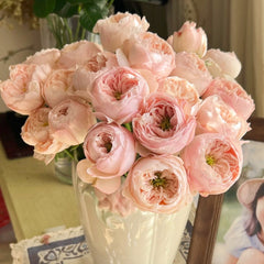 Mansfield Park Rose