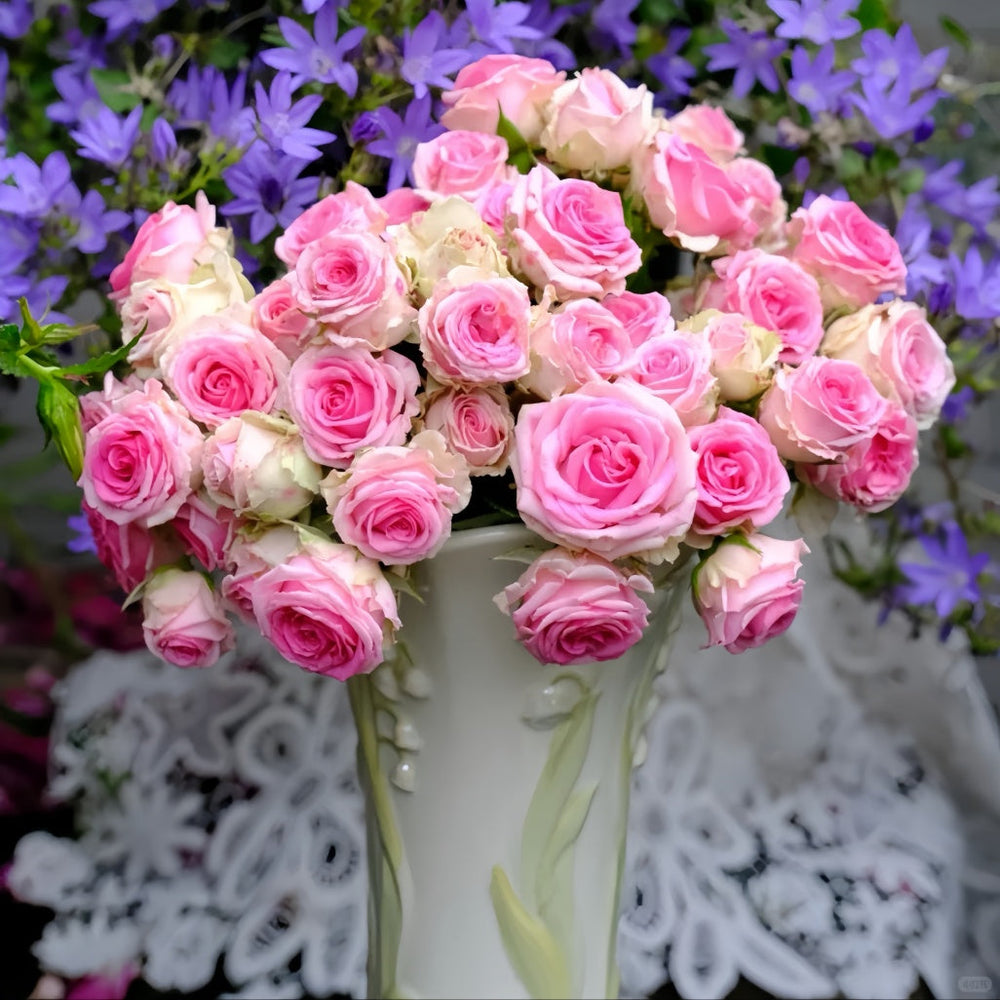 Mimi Eden Meiland Rose