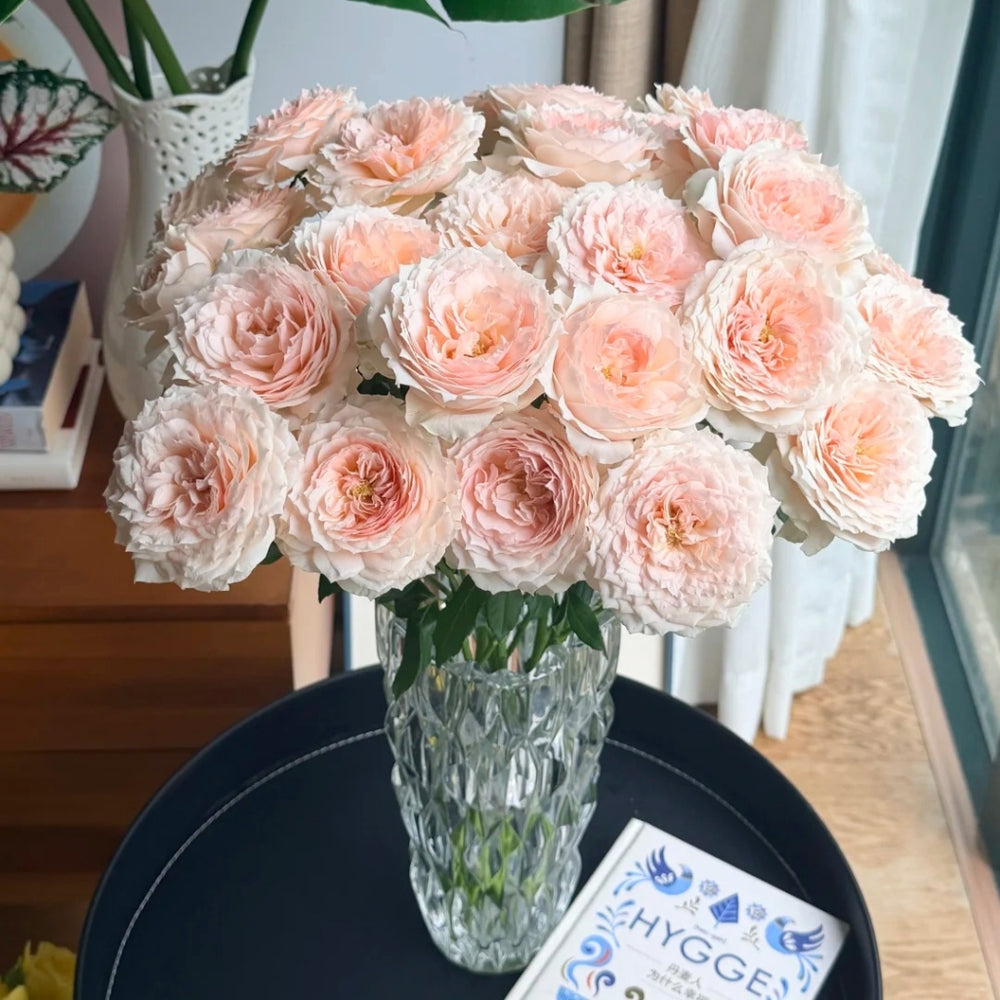 Miss Dior Rose