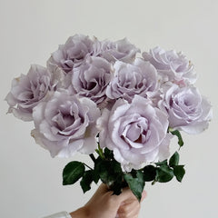 Misty Purple Rose