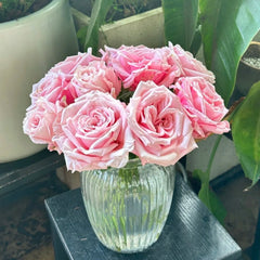Niannujiao Rose