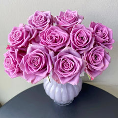Nocturne Rose