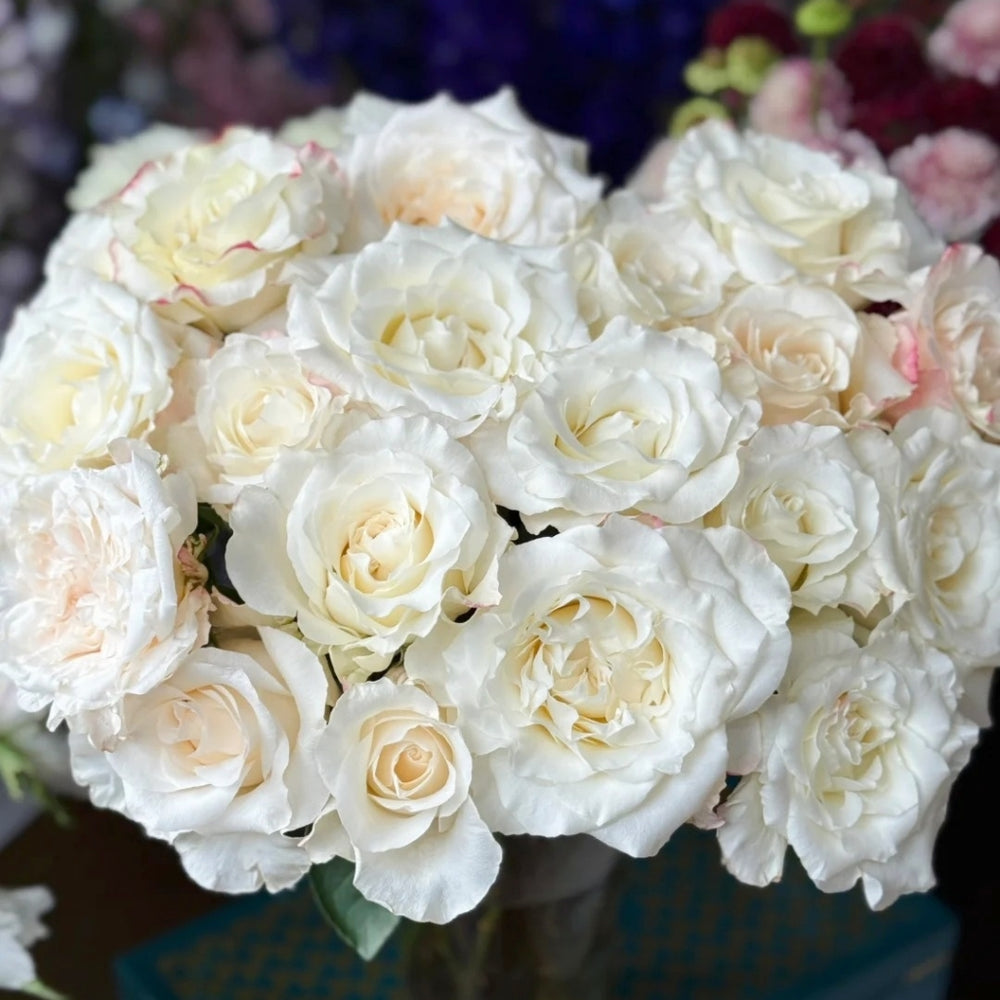 Notebook Rose