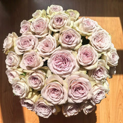 Notre Dame Rose