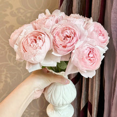 Peony Pink Rose